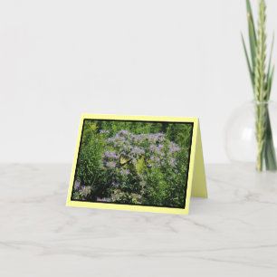 Schmetterling und Monarda Notecard Karte