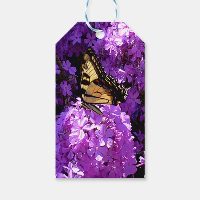 Schmetterling und Phlox Geschenkanhänger (Vorderseite)