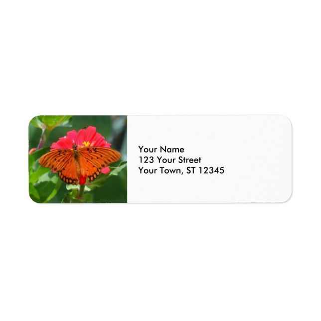 Schmetterling und rosa Blume (Vorne)