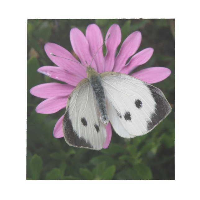 Schmetterling und rosa Blume Notepad Notizblock (Vorderseite)