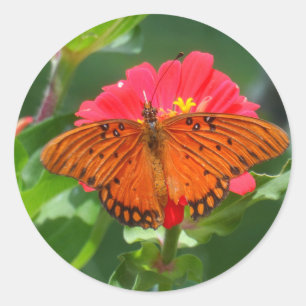 Schmetterling und rosa Blume Runder Aufkleber