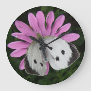 Schmetterling und rosa Blume Uhr