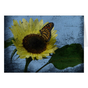 Schmetterling und Sonnenblume