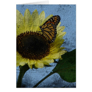 Schmetterling und Sonnenblume