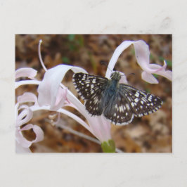 Schmetterling und tanzende Blume Postkarte