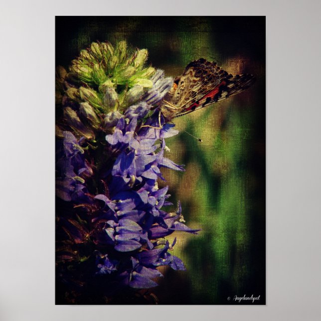 Schmetterling und violette Blumen Poster (Vorne)