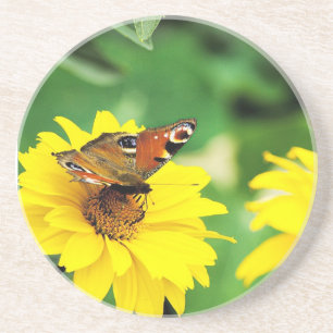 Schmetterling - Untersetzer