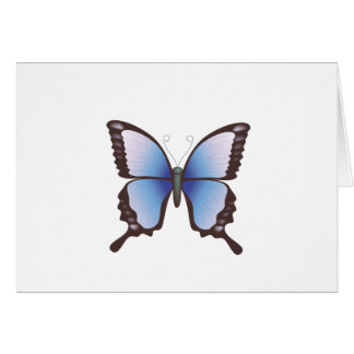 Schmetterling: Vektorillustration: