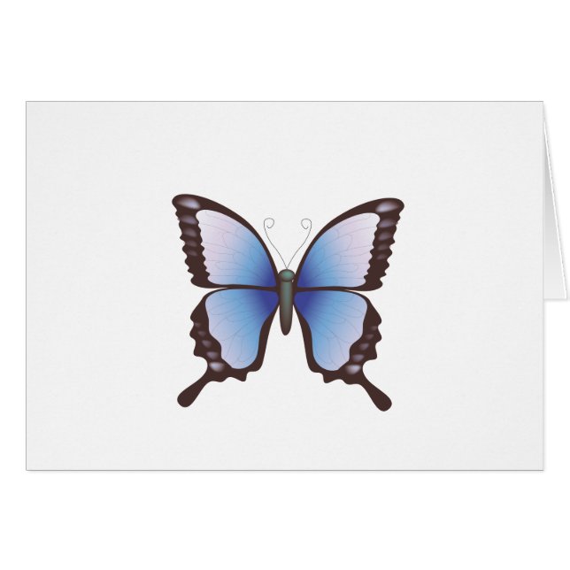 Schmetterling: Vektorillustration: (Vorderseite (Horizontal))