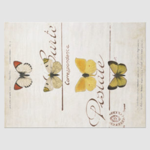Schmetterling Vintage Französische Carte Postale D Seidenpapier