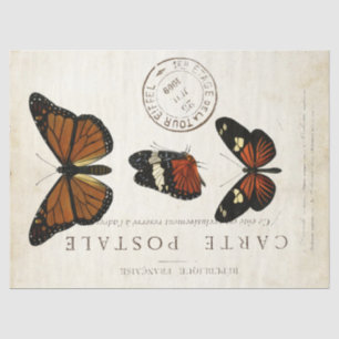 Schmetterling Vintage Französische Carte Postale D Seidenpapier