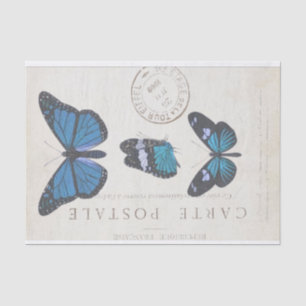 Schmetterling Vintage Französische Carte Postale D Seidenpapier