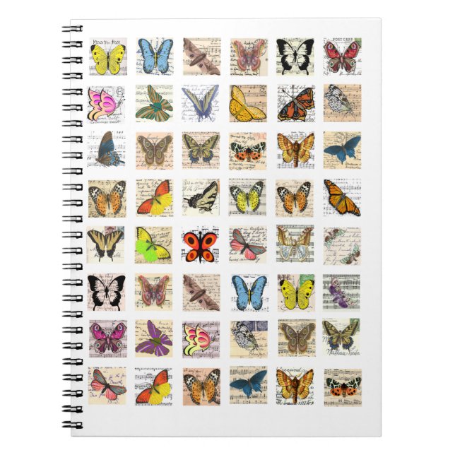 Schmetterling Vintage Postkartenplatte Notizblock (Vorderseite)