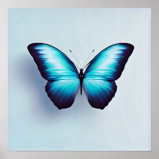 Schmetterling vor weißem Hintergrund Poster (Vorne)