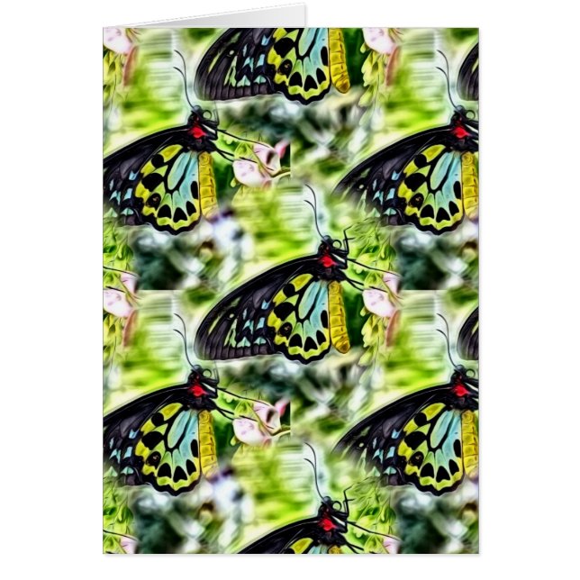 Schmetterlinge (Vorne)