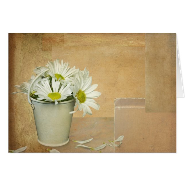 Schmetterlinge (Vorderseite (Horizontal))