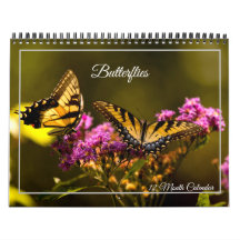 Schmetterlinge 12-Monats-Kalender