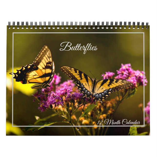 Schmetterlinge 12-Monats-Kalender Kalender (Titelbild)