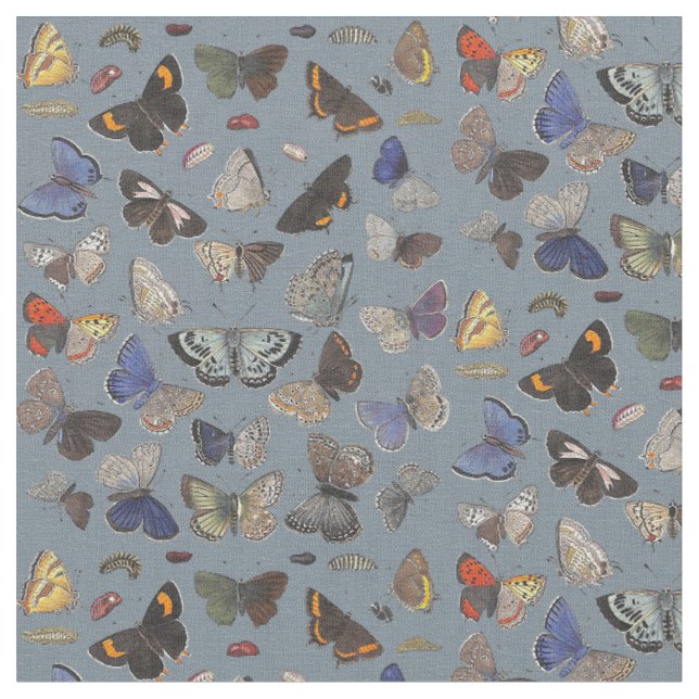 Schmetterlinge, 1842 stoff (Nahaufnahme)