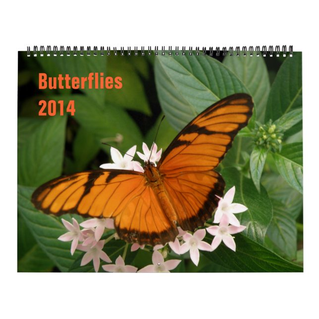 Schmetterlinge 2014-Kalender Kalender (Titelbild)