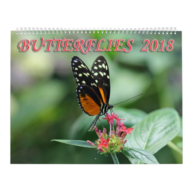 Schmetterlinge 2018 kalender (Titelbild)