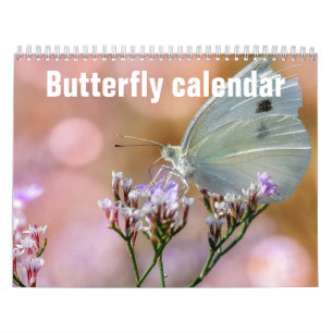 Schmetterlinge 2023 kalender