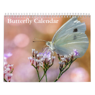 Schmetterlinge 2027 kalender