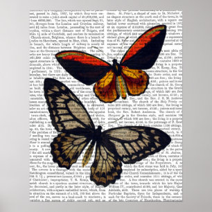 Schmetterlinge 3 poster