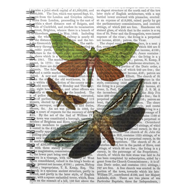 Schmetterlinge 4 notizblock (Vorderseite)