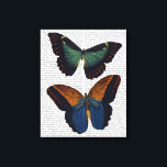 Schmetterlinge 5 leinwanddruck<br><div class="desc">Tiere & Natur</div>