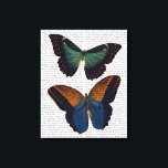 Schmetterlinge 5 leinwanddruck<br><div class="desc">Tiere & Natur</div>