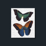 Schmetterlinge 5 leinwanddruck<br><div class="desc">Tiere & Natur</div>