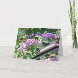 Schmetterlinge anpassen karte