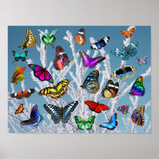 Schmetterlinge auf den Zweigen. Natur. Landschaft. Poster