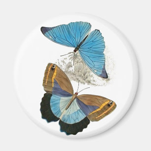 Schmetterlinge - Blau Magnet