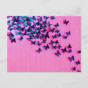 Schmetterlinge Blue Pink Schöne Postkarte