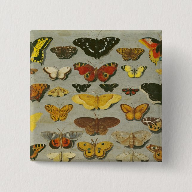 Schmetterlinge Button (Vorderseite)