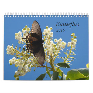 Schmetterlinge für 2016 kalender