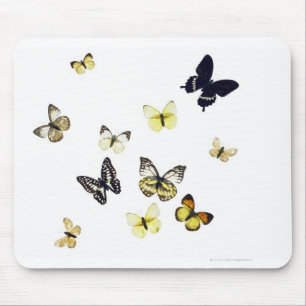 Schmetterlinge geschossen auf Weiß Mousepad