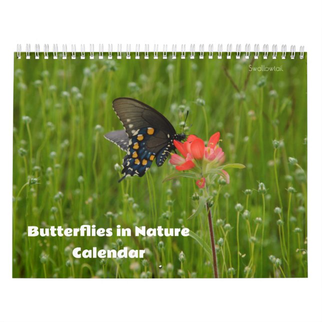 Schmetterlinge im Naturkalender Kalender (Titelbild)