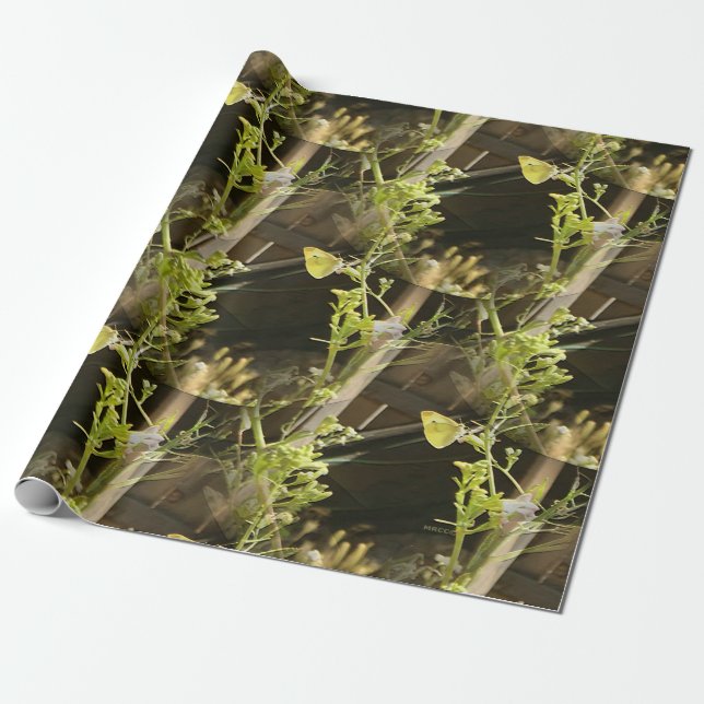 Schmetterlinge in der Liebe.... Geschenkpapier (Ungerollt)