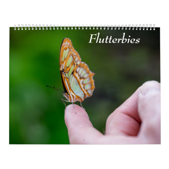 Schmetterlinge Kalender (Titelbild)