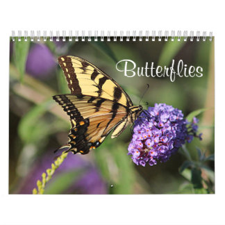 Schmetterlinge Kalender