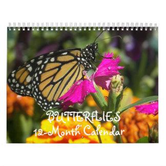 Schmetterlinge Kalender
