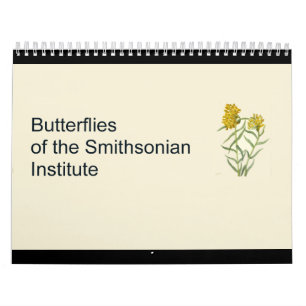 Schmetterlinge Kalender