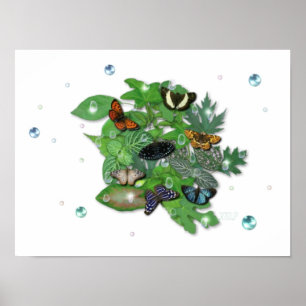 Schmetterlinge, mit wem, Regentropfen Perlen Poster