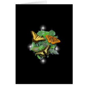 Schmetterlinge, mit wem, Regentropfen, Sterne