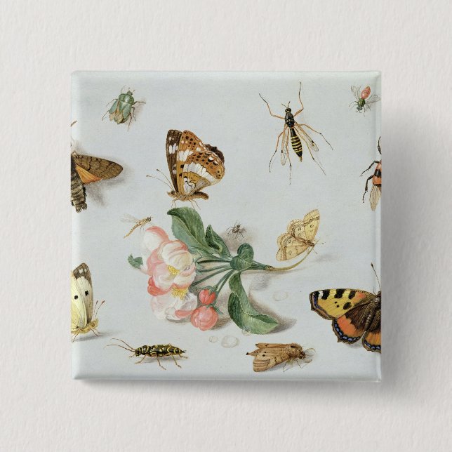 Schmetterlinge, Motten und andere Insekten Button (Vorderseite)