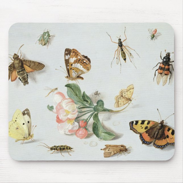 Schmetterlinge, Motten und andere Insekten Mousepad (Vorne)