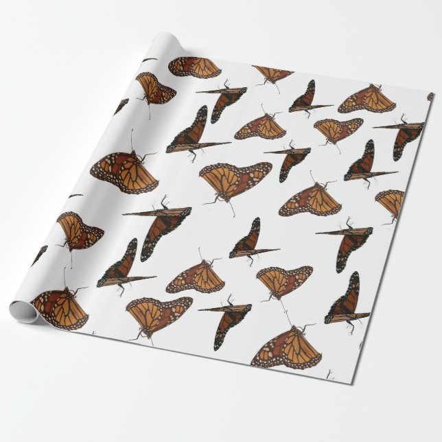 Schmetterlinge orange  geschenkpapier (Ungerollt)